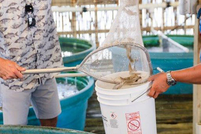 bait stores in galveston